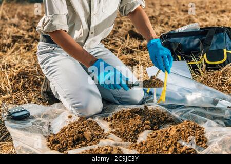 Bodenprüfung. Agronom Putting Boden mit Gartenschaufel in Boden Probenbeutel. Stockfoto
