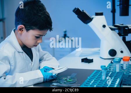 Schuljunge untersucht Blätter in einem Labor. Stockfoto