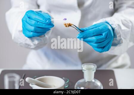 Mikrobiologe, der die Qualität von Nüssen im Labor analysiert. Stockfoto