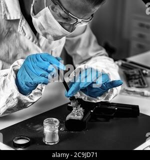 Forensischer Techniker untersucht Waffe, auf der Suche nach Fingerabdrücken. Forensisches Labor. Stockfoto