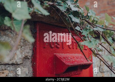 Nahaufnahme einer retro-roten Mailbox in Cotswolds, Großbritannien, eingerahmt von einer Efeupflanze. Stockfoto