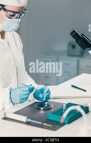 Mikrobiologe im Labor. Stockfoto