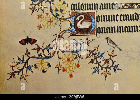 Detail einer Faksimile-Seite aus Les Grande Heures de Jean Duc de Berry, dem berühmten Stundenbuch, das der Herzog von Berry 1409 in Auftrag gab Stockfoto