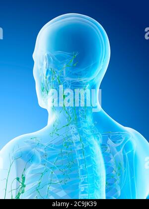 Lymphknoten des Halses, Computer-Illustration. Stockfoto