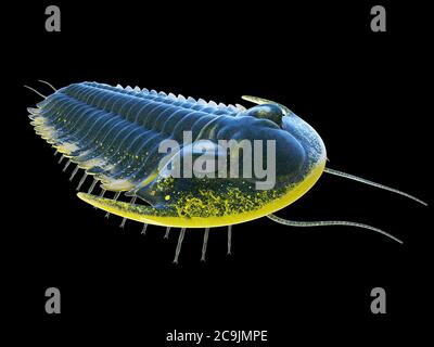 Trilobit, Computerdarstellung. Stockfoto