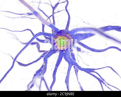 Nervenzelle, Computer Bild. Stockfoto