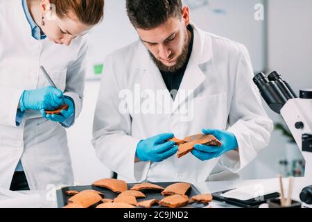 Archäologen rekonstruieren gebrochene Keramik im Labor. Stockfoto