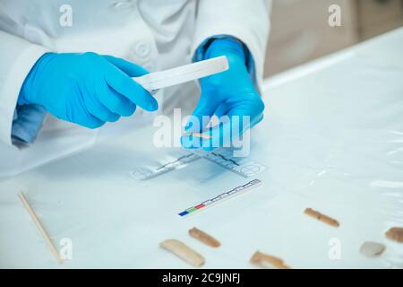 Archäologieforscher, der mit Lupe eine Lithikanalyse durchführt und Artefakte mit dem Linealwerkzeug misst. Stockfoto