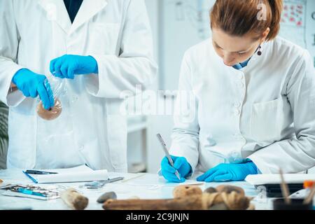 Männliche Archäologin, die altes Gewicht in eine Plastiktüte legt, weibliche Archäologin, die prähistorische Artefakte mit Seriennummer markiert. Stockfoto