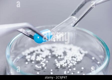 Pharmazeutischer Arbeiter, der eine Pille untersucht. Stockfoto