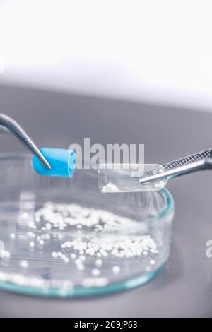 Pharmazeutischer Arbeiter, der eine Pille untersucht. Stockfoto