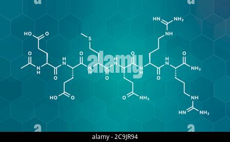 Acetylhexapeptid-3 (argireline)-Molekül. Peptidfragment von SNAP-25. Wird in Kosmetika zur Behandlung von Falten verwendet. Weiße Skelettformel auf dunklem blauem Grad Stockfoto