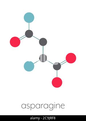 Asparagin (L-Asparagin, ASN, N) Aminosäuremolekül. Stilisierte Skelettformel (chemische Struktur). Atome werden als farbcodierte Kreisverbindungen dargestellt Stockfoto