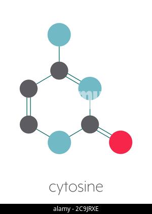 Cytosin-Pyrimidin-Nukleobase-Komponente. Eine der Basen in DNA und RNA gefunden. Stilisierte Skelettformel (chemische Struktur). Atome werden als CO dargestellt Stockfoto