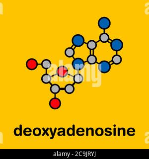 Deoxyadenosin (da) Nukleosid-Molekül. DNA-Baustein. Stilisierte Skelettformel (chemische Struktur). Atome werden als farbcodierte Kreise wi dargestellt Stockfoto