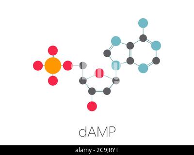 Desoxyadenosin-Monophosphat (feuchtes) Nukleotidmolekül. DNA-Baustein. Stilisierte Skelettformel (chemische Struktur). Atome werden als Farb- Stockfoto