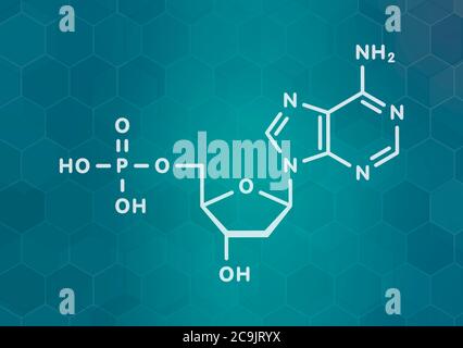 Desoxyadenosin-Monophosphat (feuchtes) Nukleotidmolekül. DNA-Baustein. Weiße Skelettformel auf dunklem blauem Gradienten Hintergrund mit hexagonalem pa Stockfoto