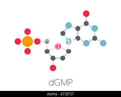 Deoxyguanosinmonophosphat (DGMP)-Nukleotidmolekül. DNA-Baustein. Stilisierte Skelettformel (chemische Struktur). Atome werden als Farb- Stockfoto