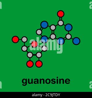 Guanosin-Purin-Nukleosid-Molekül. Wichtiger Bestandteil von GTP, GDP, cGMP, GMP und RNA. Stilisierte Skelettformel (chemische Struktur). Atome sind sh Stockfoto