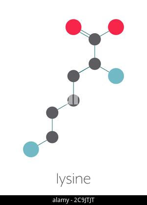 Lysin (L-Lysin, Lys, K) Aminosäuremolekül. Stilisierte Skelettformel (chemische Struktur). Atome werden als farbcodierte Kreise dargestellt, die durch thi verbunden sind Stockfoto