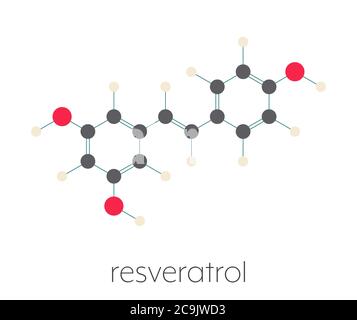 Resveratrol-Molekül. In vielen Pflanzen vorhanden, einschließlich Trauben und Himbeeren. Es wird angenommen, dass eine Reihe von positiven Auswirkungen auf die Gesundheit haben. Stilisiertes Skelett Stockfoto