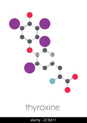 Thyroxin (T4, Levothyroxin) Schilddrüsenhormonmolekül. Prohormon von Thyronin (T3). Wird als Medikament zur Behandlung von Hypothyreose verwendet. Stilisierte Skelettformel Stockfoto