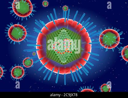 Humanes T-Zell lymphotropes Virus, Illustration. Das humane T-Zell-lymphotrope Virus (HTLV) ist eine Familie humaner RNA (Ribonukleinsäure)-Retroviren Stockfoto