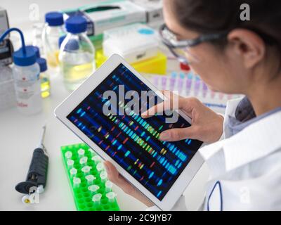 Wissenschaftler betrachten DNA-Profile (Desoxyribonukleinsäure) auf einer Touchscreen-Tablette während eines genetischen Experiments. Stockfoto