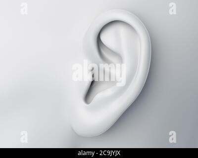 Weibliches Ohr, Illustration. Stockfoto