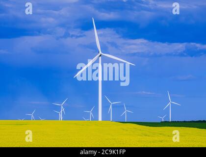 Windenergieanlagen, St. Leon, Manitoba, Kanada Stockfoto