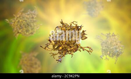 Amöbe, Computer-Illustration. Stockfoto
