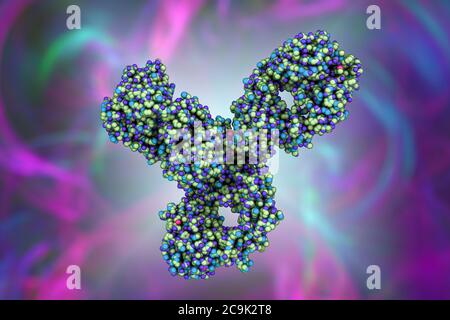 Pembrolizumab-Antikörper. Computermodell, das die Struktur des Pembrolizumab-Antikörpers zeigt. Es ist ein humanisierter IgG4-Antikörper, der in der Krebsimmuntherapie verwendet wird, Stockfoto