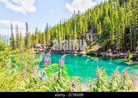 Feueralgen umgeben die smaragdfarbenen Grassi Lakes in den südlichen kanadischen Rockies von Canmore, die Teil des Kananaskis Country Park Systems sind. Stockfoto