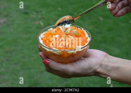 Weibliche Hände halten Schüssel der traditionellen beliebten indischen Dessert Küche Artikel. Hausgemachte Karotte gajar halwa auf Natur Hintergrund von Gras. Pakistanisch, In Stockfoto