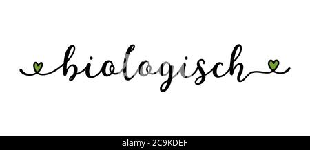 Handskizziertes biologisches Wort in deutscher Sprache als Banner oder Logo. Übersetzt Organisch. Beschriftung für Header, Label, Poster, Ankündigung, Werbung Stock Vektor