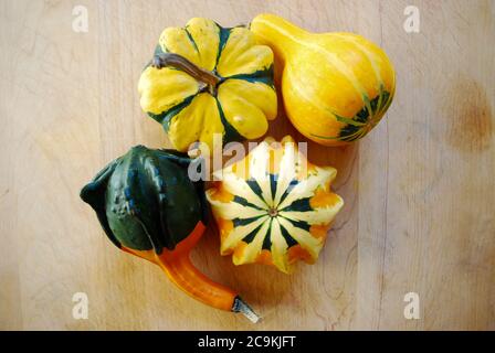 Vier kleine bunte Kürbisse auf einem hölzernen Schneidebrett angeordnet Stockfoto