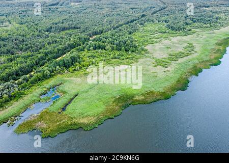 Sommerlandschaft. Feldweg durch grünen Wald am Seeufer. Luftbild Stockfoto