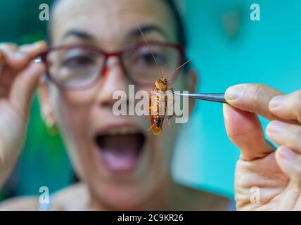 Überrascht Frau hält eine Kakerlake mit einer Klemme Stockfoto