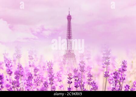 Untypische Ansicht des Eiffelturms in paris mit Lavendelblüten, Sommerlandschaft, Platz für Text Stockfoto