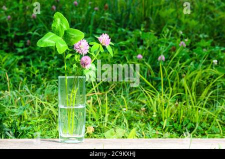 Ein Blumenstrauß aus Klee mit einem vierblättrigen Blatt in einem Glas auf einer Holzfläche vor dem Hintergrund einer grünen Wiese. Selektiver Fokus. Stockfoto