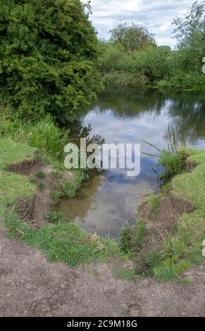 bank Erosion River Cam Grantchester Meadows Stockfoto