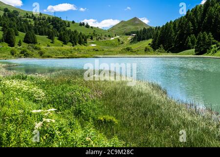 Kleiner Alpensee in der Nähe von Col de Vars auf den französischen Alpen Stockfoto