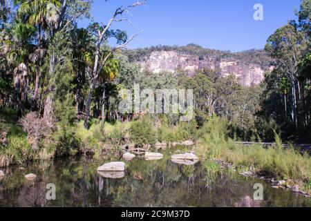 Carnarvon Gorge National Park, Queensland, Australien Stockfoto