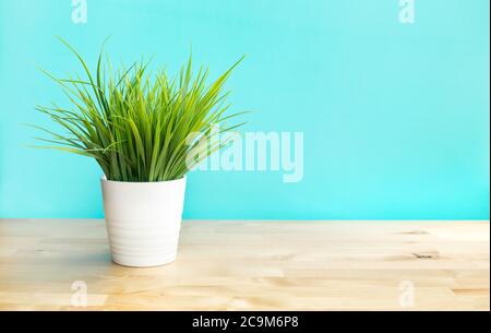 Gras im weißen Topf auf Holz table.decoration mit Umgebung Stockfoto