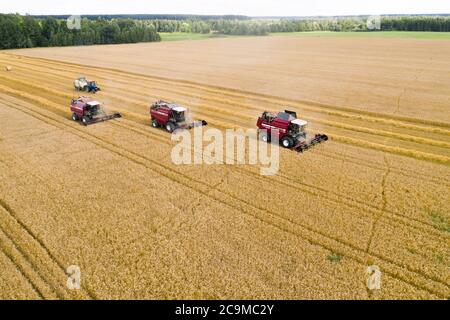 Mähdrescher Ernte Weizen Draufsicht von einer Drohne Stockfoto