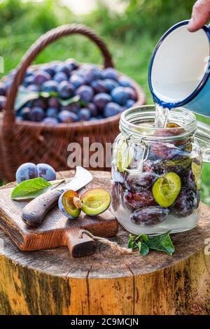 Vorbereitetes Glas mit Pflaume für Kompott im Sommergarten Stockfoto