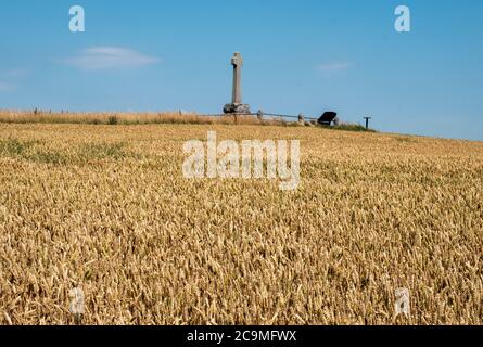 Granitsteinkreuz auf Branxton Hill, Northumberland zum Gedenken an die Gefallenen bei der Schlacht von Flodden Field am 9. September 1513. Stockfoto