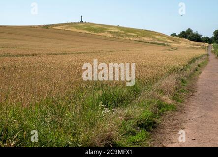 Granitsteinkreuz auf Branxton Hill, Northumberland zum Gedenken an die Gefallenen bei der Schlacht von Flodden Field am 9. September 1513. Stockfoto