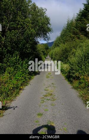 Spaziergang auf dem Kerry Way im Jahr 2019 in Graf Kerry im Süden Irlands, der um den Abschnitt der Iveragh-Halbinsel zwischen Sneem und Caherdaniel herumführt Stockfoto