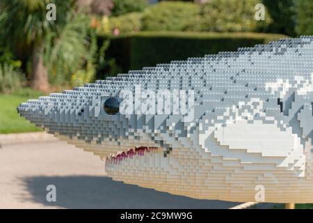 Bristol-August-2020-England- EIN großer weißer Hai aus lego im Zoo von Bristol Stockfoto